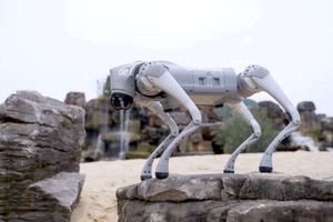 Unitree go2 pro: Робот-Собака, що перевертає поняття інженерії