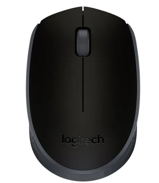 Мишка Logitec M171 Black (910-004424)