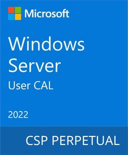 Операционная система Microsoft Windows Server 2022 - 1 User CAL