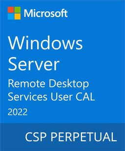 Операционная система Microsoft Windows Server 2022 Remote Desktop Services - 1 User CAL