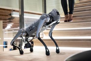 Сравнительный анализ робо-собак Unitree Go 2 и Go 1: Инновации в робототехнике