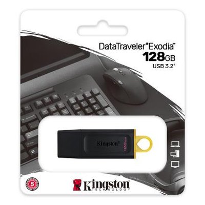Накопичувач Kingston 128GB USB 3.2 Type-A Gen1 DT Exodia
