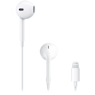 Наушники с микрофоном Apple EarPods with Lightning (MWTY3)