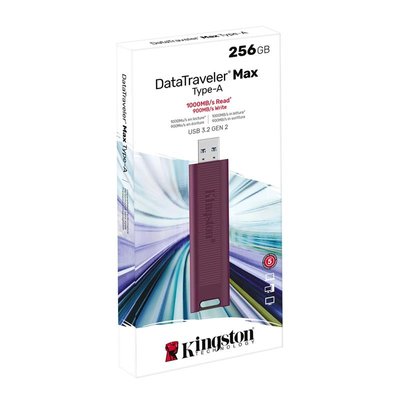 Накопичувач Kingston 256GB USB 3.2 Type-A Gen 2 DT Max