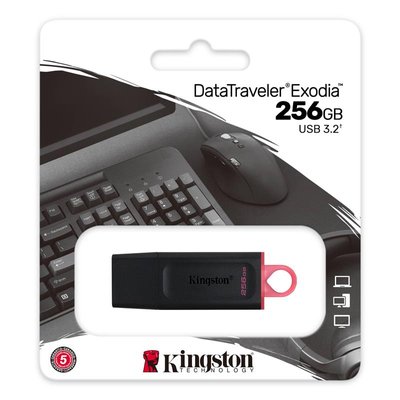 Накопичувач Kingston 256GB USB 3.2 Type-A Gen1 DT Exodia