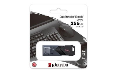 Накопитель Kingston 256GB USB 3.2 Type-A Gen1 DT Exodia Onyx
