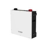 Літієва акумуляторна батарея Dyness DL5.0C 100А з Wi-Fi модулем