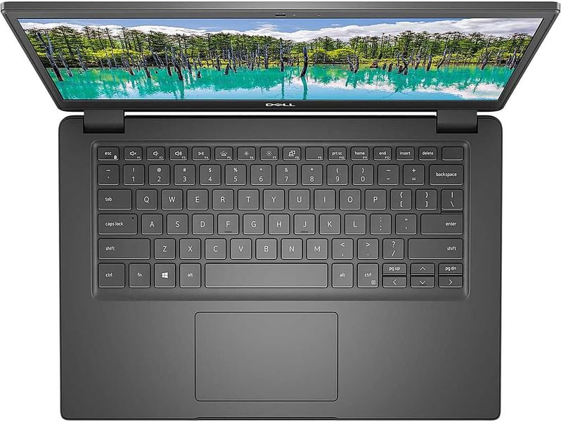 Ноутбук Dell Latitude 3410 Black (N001L341014GE_UBU)