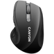 Бездротова мишка CANYON MW-01 чорна (CNS-CMSW01B) CNS-CMSW01B фото