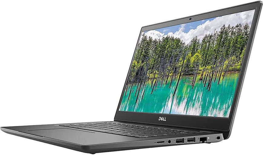Ноутбук Dell Latitude 3410 Black (N014L341014GE_UBU)