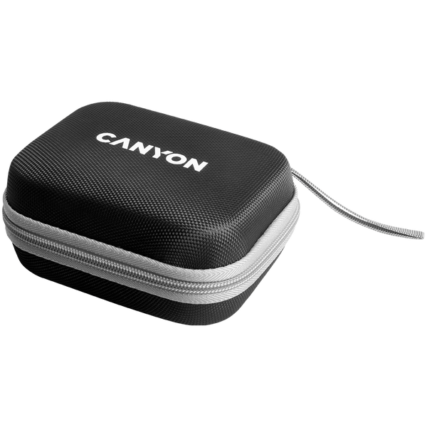 Беспроводное зарядное устройство CANYON WS-305 Черный (CNS-WCS305B)