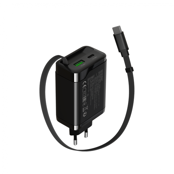 Зарядное устройство CANYON OnCharge 65RC Чёрный (CNS-CURC65ACB)