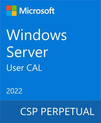 Операционная система Microsoft Windows Server 2022 - 1 User CAL