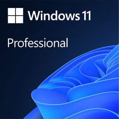 Операционная система Microsoft Windows 11 Pro англ, ОЕМ на DVD носители