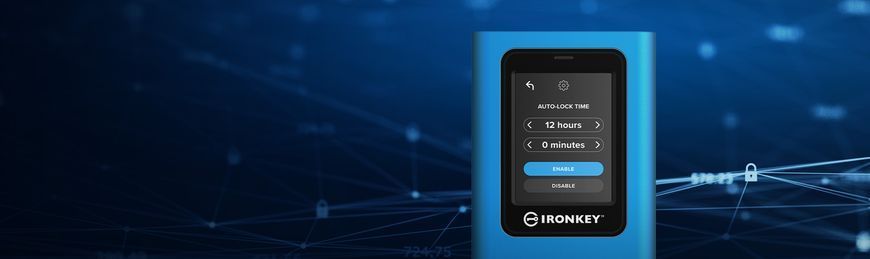 Внешний SSD Kingston IronKey Vault Privacy 80 960 ГБ USB 3.2 Gen 1 с шифрованием XTS-AES 256 бит (IKVP80ES/960G)