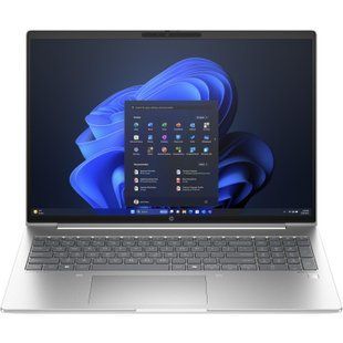 Ноутбук HP ProBook 465 G11 Pike Silver (A38JYET)