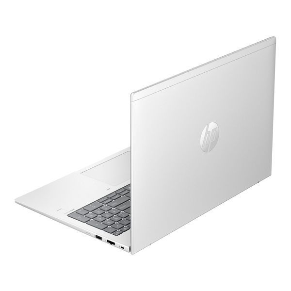 Ноутбук HP ProBook 465 G11 Pike Silver (A38JYET)