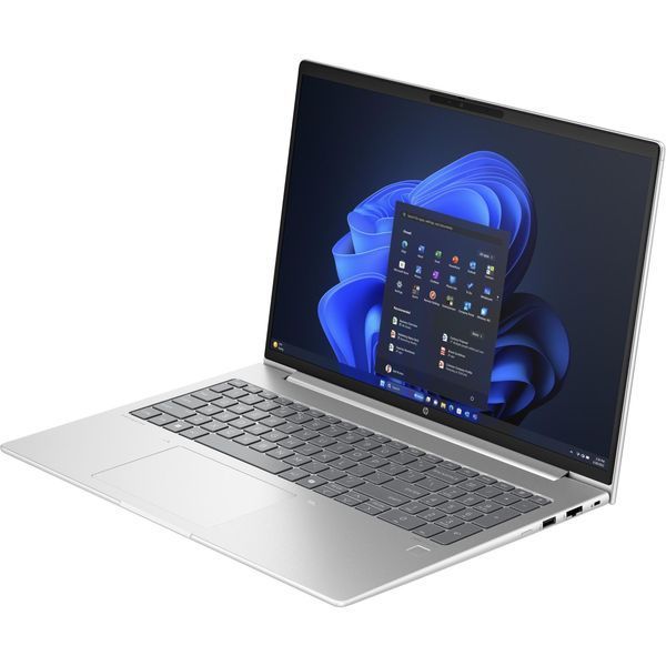 Ноутбук HP ProBook 465 G11 Pike Silver (A38JYET)