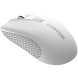 Беспроводная мышь CANYON MW-7 Белая (CNE-CMSW07W) CNE-CMSW07W фото