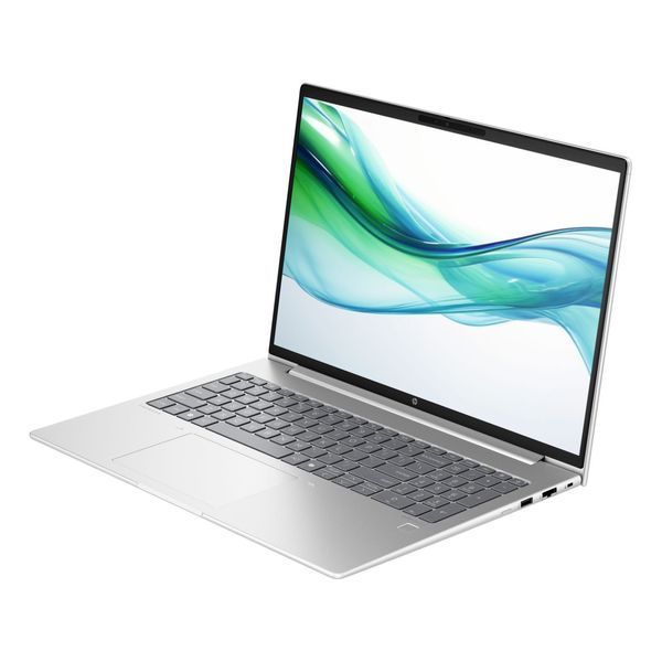 Ноутбук HP ProBook 460 G11 Pike Silver (AD0W3ET)