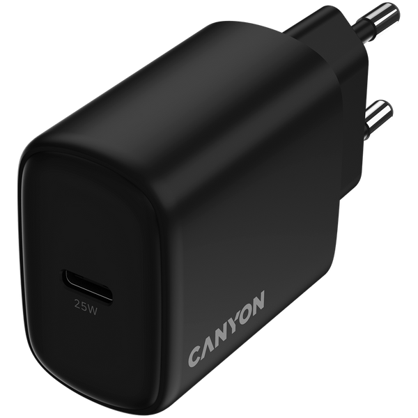 Зарядний пристрій CANYON OnCharge 250 Чорний (CNE-CHA250-11)