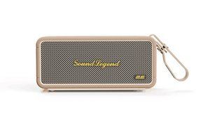 Портативна акустична система 2E SoundLegend 80 Вт, BT 5.3, TWS, IPX6, PowerBank, RGB, коричнева (2E-BSSLWBN)