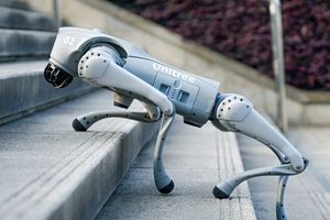 Unitree Go2: Инновационный Шаг в Мире Робототехники фото