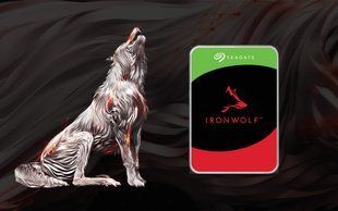 Жёсткий диск Seagate IronWolf 4 ТБ 3.5" SATA 6 Гбит/с 5400 об/мин 256 МБ для NAS (ST4000VN006)