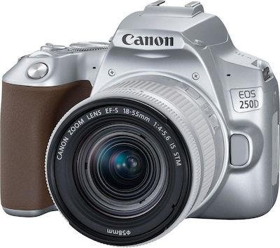Фотоапарат Canon EOS 250D kit 18-55 IS STM Silver (3461C003) - Suricom