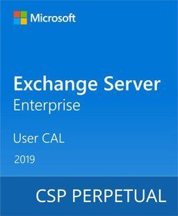 Програмний продукт Microsoft Exchange Server Enterprise 2019 User CAL, ліцензія на користувача CSP Perpetual (DG7GMGF0F4MD-0004)